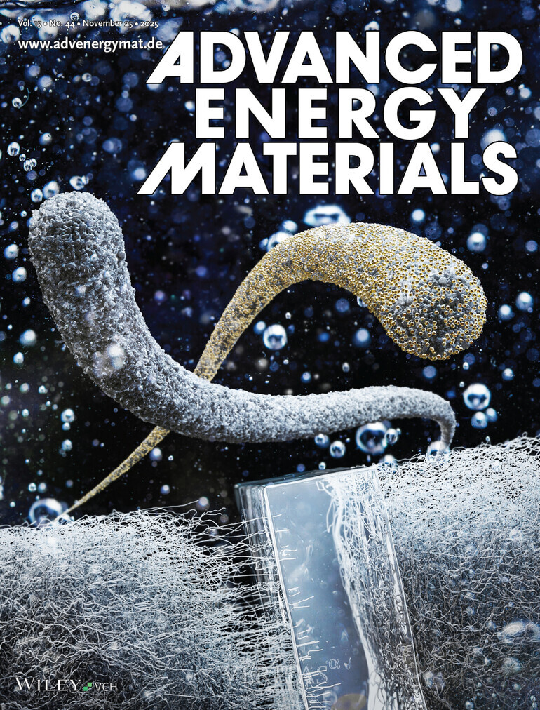 안성훈 교수 연구팀, 세계적 학술지 Advanced Energy Materials 표지 논문 선정 첨부 이미지