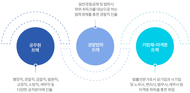 법학과 진출분야 로드맵