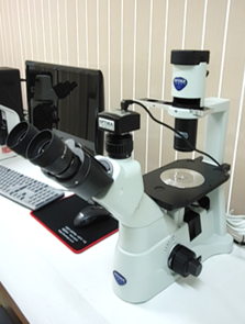 Microscope