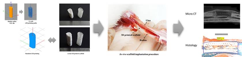 3D 프린팅 기반 환자 맞춤형 고기능 임플란트 개발