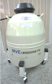 Liquid N2 container