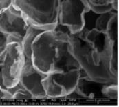 SEM 사진. 3D graphene (after etching Cu)