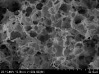 SEM 사진. 3D graphene (after etching Cupronickel)