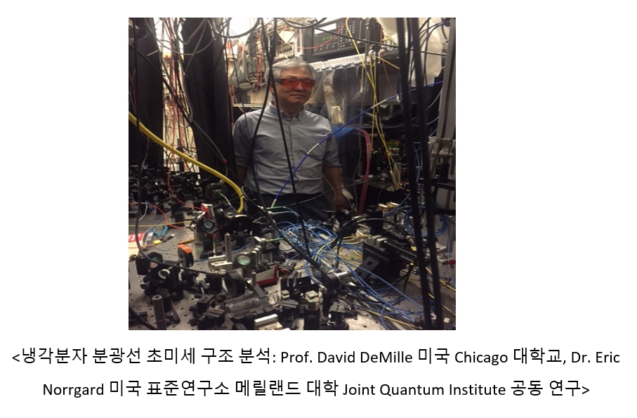 냉각분자 분석